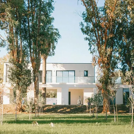 Elegance And Nature Design House In Corsica * Taglio-Isolaccio