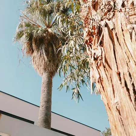 Elegance And Nature Design House In Corsica *