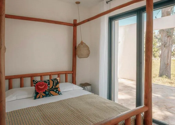 Elegance And Nature Design House In Corsica Taglio-Isolaccio