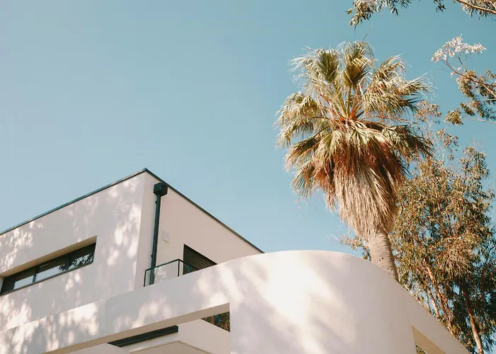 Elegance And Nature Design House In Corsica Hébergement de vacances