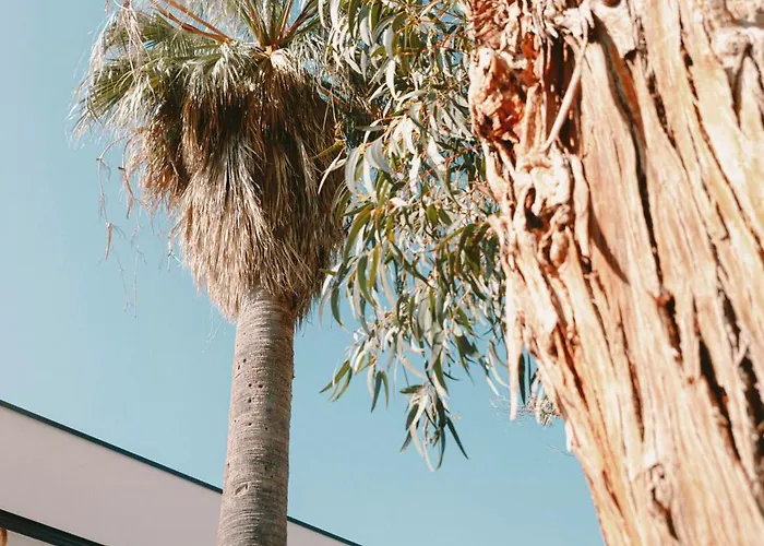 Elegance And Nature Design House In Corsica *